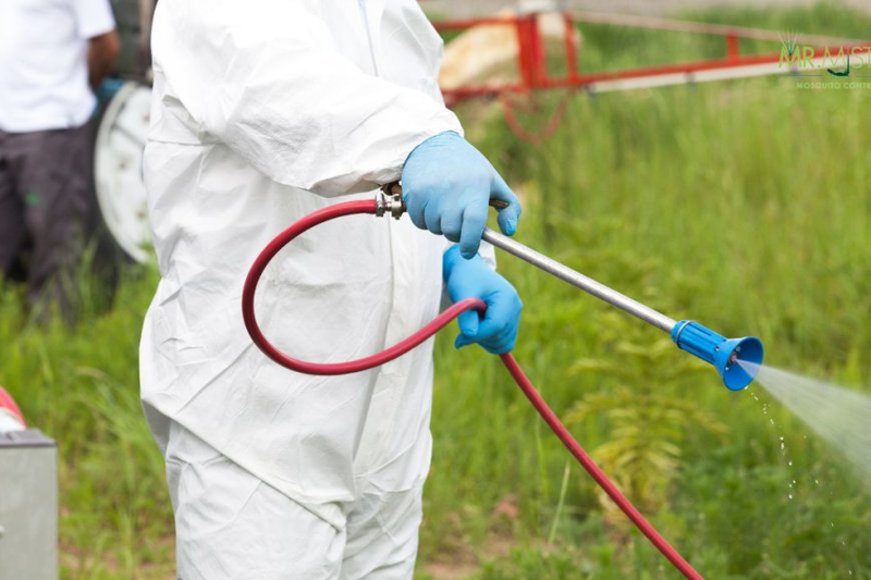 Controlling Mosquitoes: Truths and Misconceptions