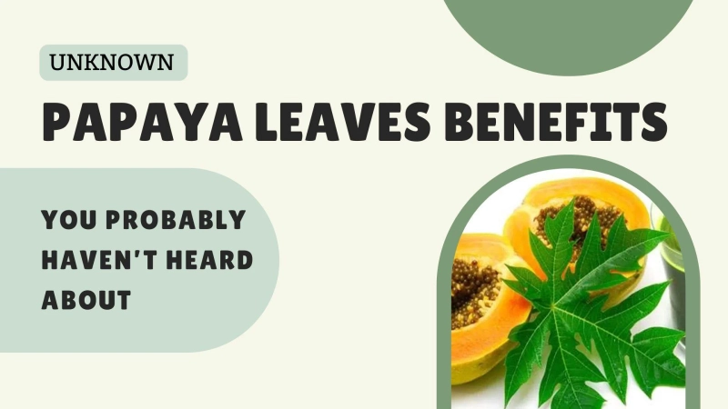 Unknown Papaya Leaves Benefits You Probably Haven’t Heard About