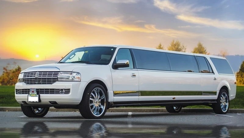 Why You Should Hire A Professional Limo Service Provider?