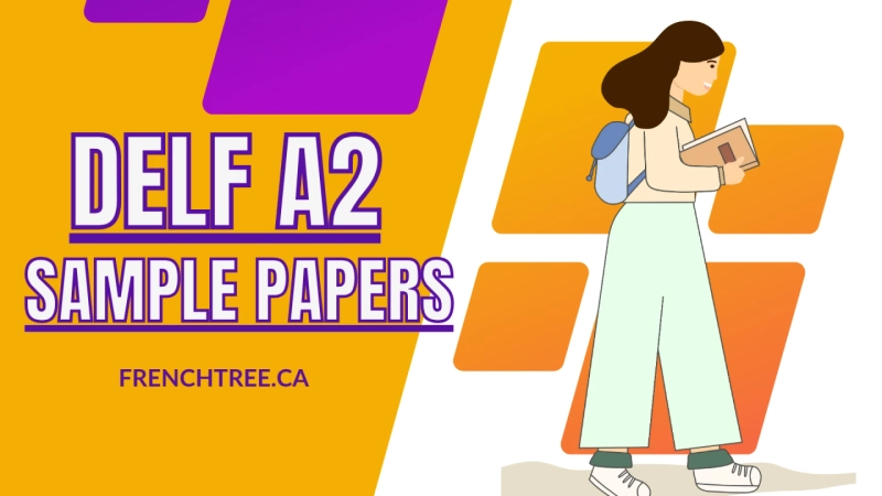 Master French Language Exams with Confidence and Expert Support