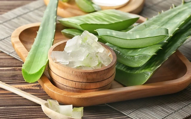 Aloe Vera Lotion To Keep Your Skin Hydrated and Smooth