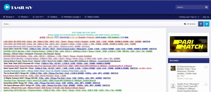 What is Tamilmv Proxy or Mirror Site?