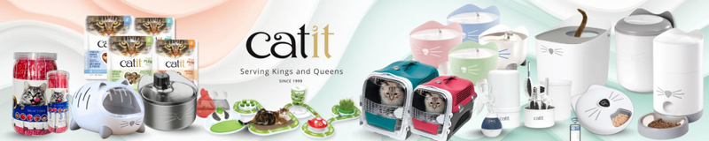 Everyday Cat Problems and How to Fix Them Easily