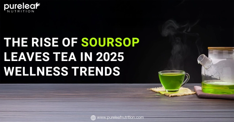 The Rise of Soursop Leaves Tea in 2025 Wellness Trends