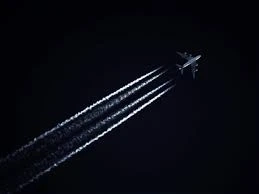 Full List of American®️ Airlines Customer® Contact Numbers in the USA: A Complete 2025 Guide