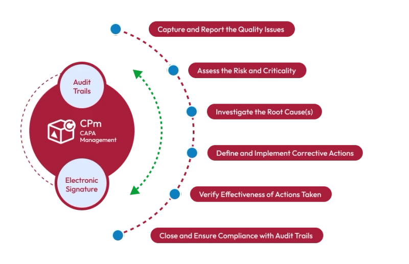 The Importance of Root Cause Analysis - CAPA Software 