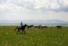 Exploring Georgia on Horseback: Top 5 Must-Ride Trails