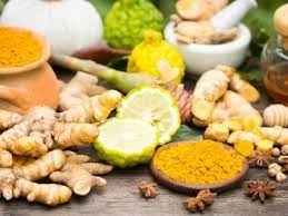 Ayurvedic Cancer Treatment
