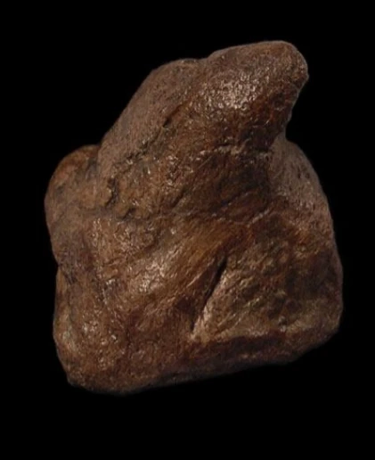 Facts About Pachycephalosaurus That Will Blow Your Mind