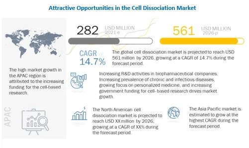Cell Dissociation Market worth $561 million by 2026 – Covid -19 Impact and Growth Drivers