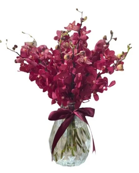 Why Flora Plant on Chapel is the Go-To Florist in St Kilda for Every Occasion