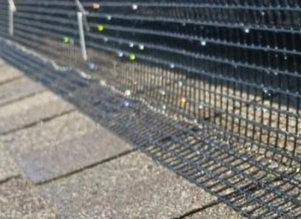 Tips and Tricks to Squirrel-Proof Your Solar Panels