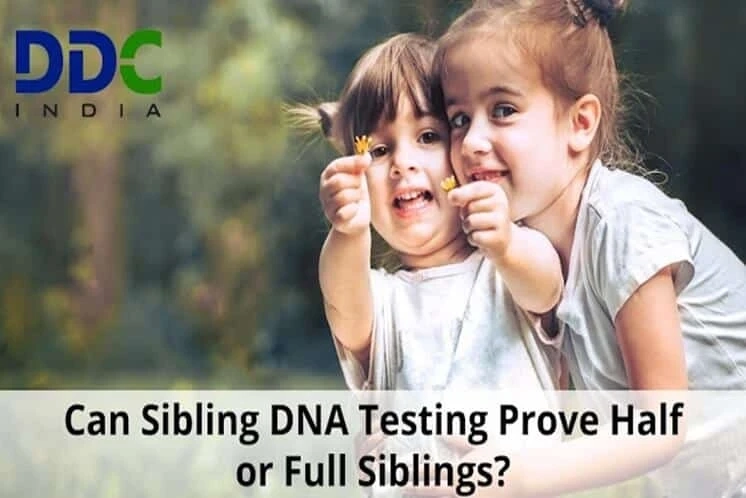 Can DNA Tests Confirm Whether Two Individuals Are Siblings?