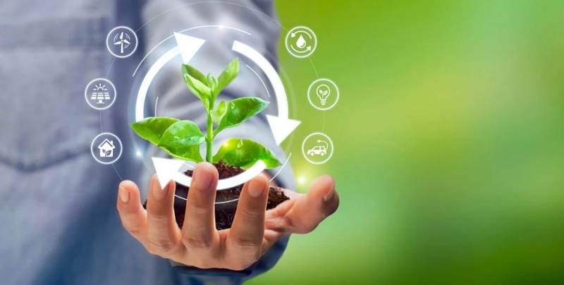 The Role of Sustainability Programs in Driving Corporate Climate Action