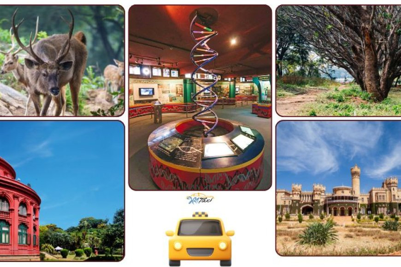 A trip to Bangalore with family on weekend Holidays