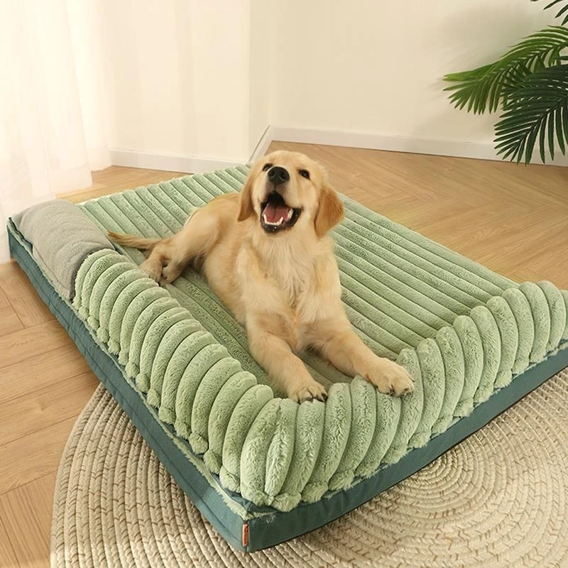 Online buy cats bed in USA
