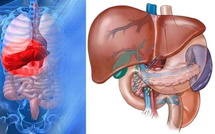 Concerning drinking alcohol, Colon cancer treatment