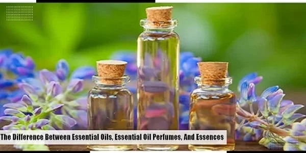 The Difference Between Essential Oils, Essential Oil Perfumes, And Essences
