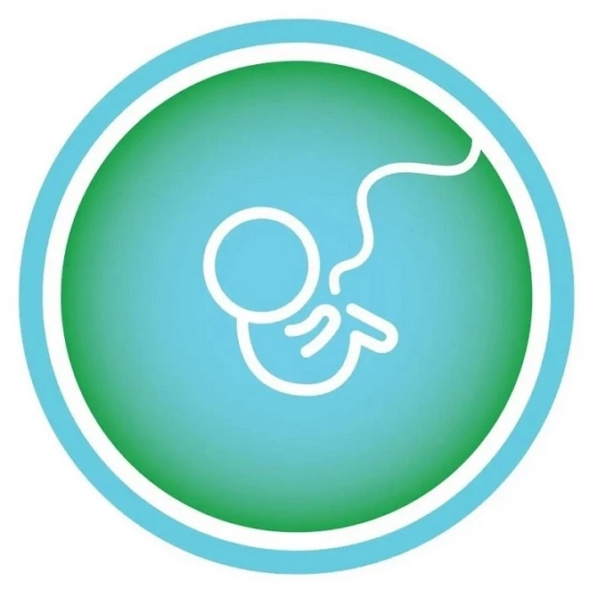 A Guide for First-Time IVF Patients