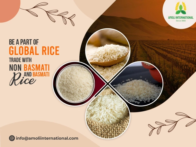 Be a Part of Global Rice Trade with Non-Basmati and Basmati Rice