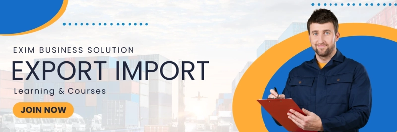 Exim Business Solutions: Your Go-To Best Import Export Learning Course