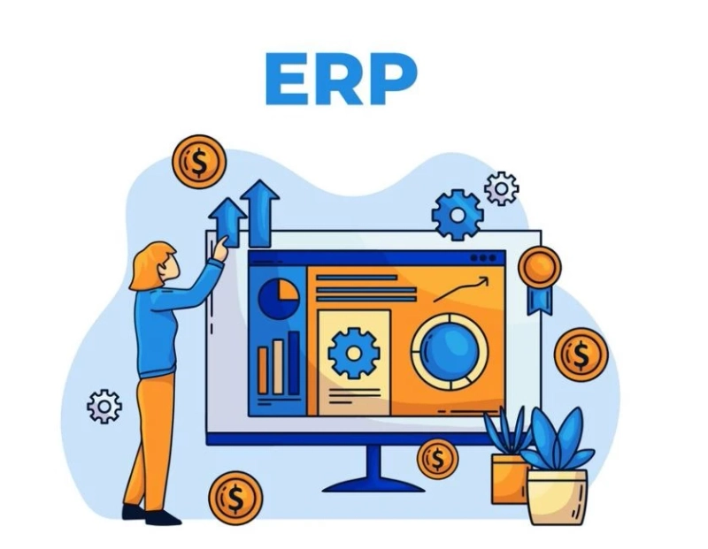 Customization Options in Web Based ERP Systems