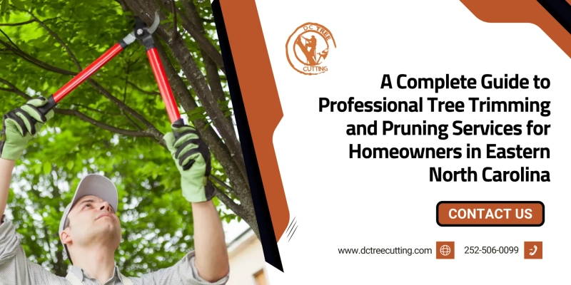 A Complete Guide to Professional Tree Trimming and Pruning Services for Homeowners in Eastern North Carolina