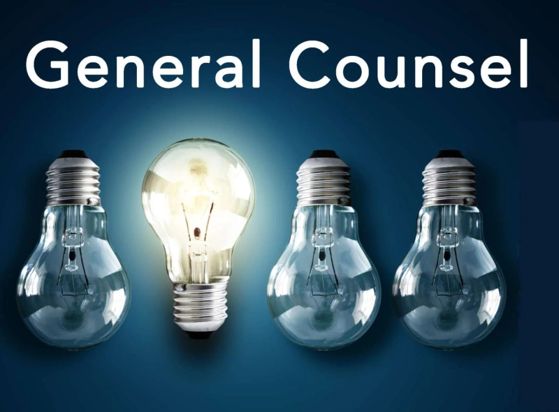 Developing General Counsel Services in India: Elevating Legal Excellence