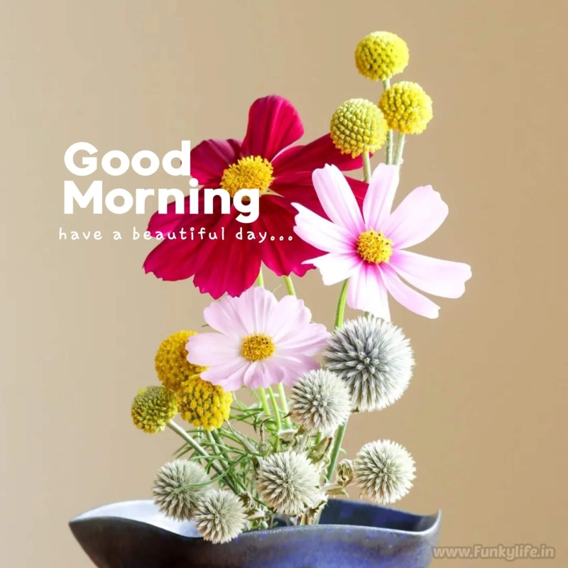 Good Morning Pictures and Wishes: Brightening Your Day One Image at a Time