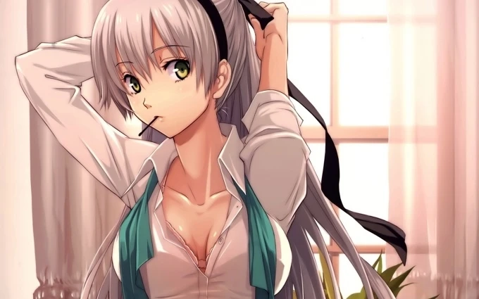 Exploring the Unclear Borders: Exploring Freedom in Anime