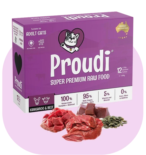 Raw Food for Pets: Signs It’s Working