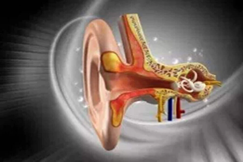 What is vestibular disorders treatment