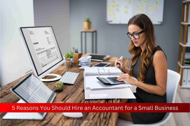 5 Reasons You Should Hire an Accountant for a Small Business