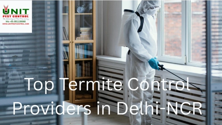 10 Effective Tips to Keep Termites Out of Your Home