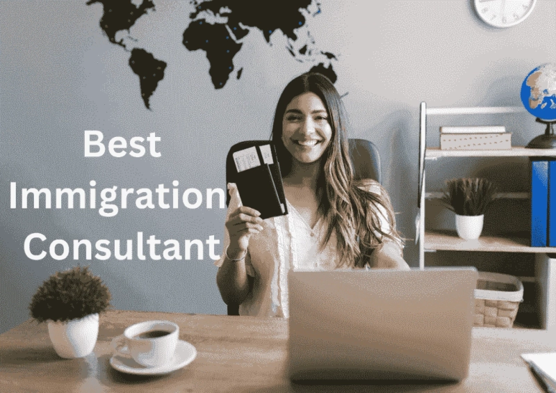 Empowering Your Immigration Odyssey: The Assistance of Immigration Consultants in Dubai