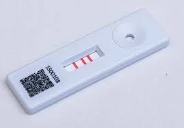 Lateral Flow Assays Market Future Analysis By Key Players, Trends, Size, Share And Forecast 2030 | G