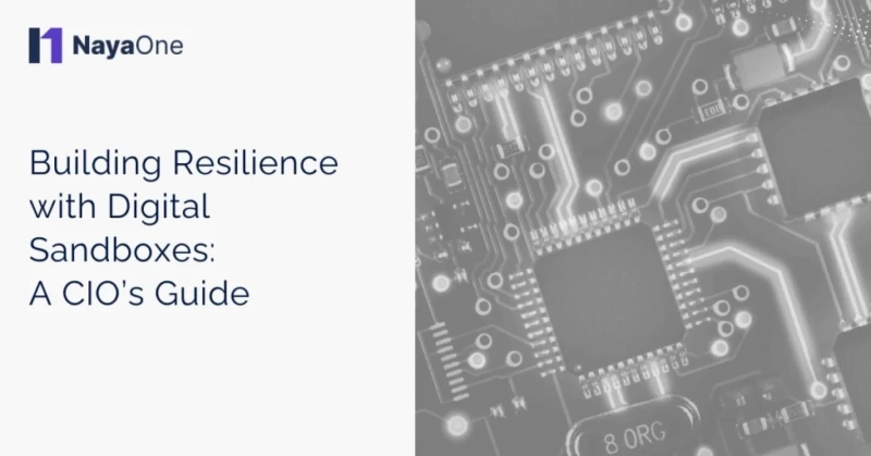 Building Resilience with Digital Sandboxes: A CIO’s Guide