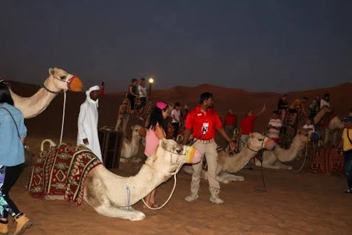 Adventure Awaits on Your Overnight Desert Safari