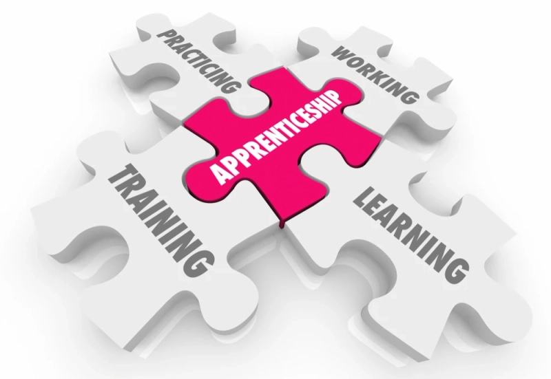 The Value of Apprenticeships: Bridging Education and Employment