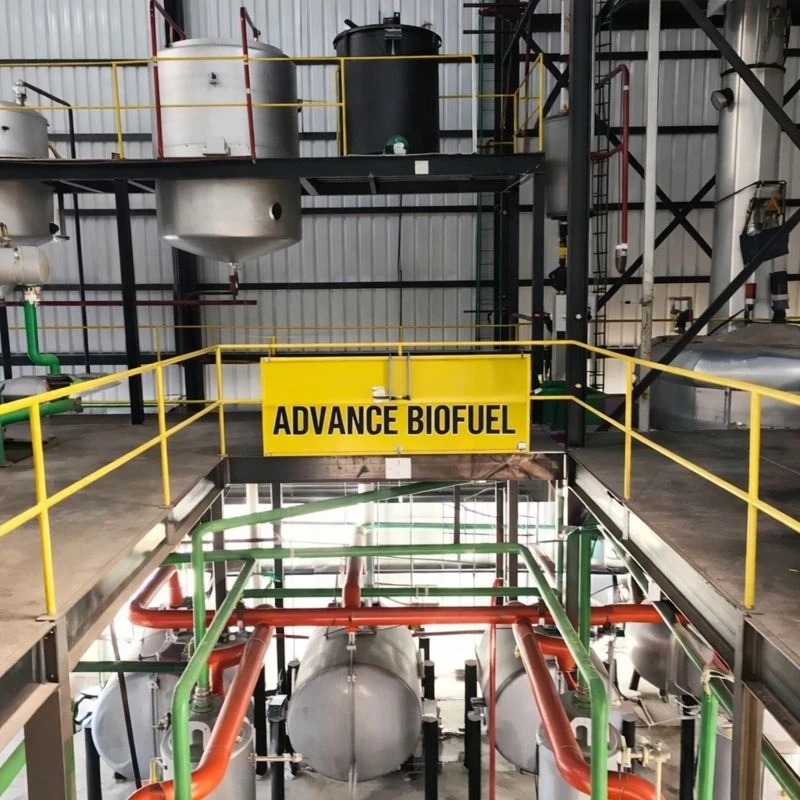 Biodiesel Plant Guide: Production Process, Advantages, and Future Scope