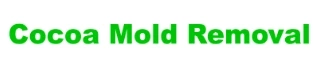 Mold Removal Cocoa Beach: A Comprehensive Guide