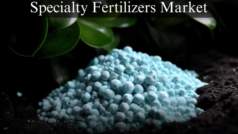 Specialty Fertilizers Market Size, Growth Forecast Through 2032