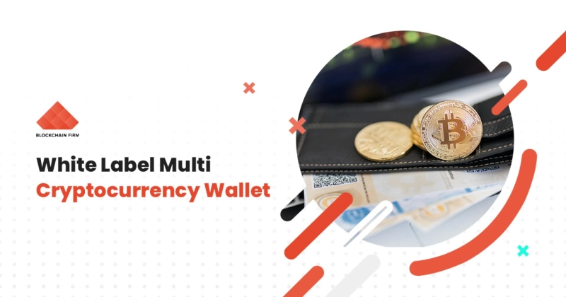 Hot to cold- Search for the options of crypto wallet for 2021?- Scrutinize before proceeding with cryptocurrency wallet development!