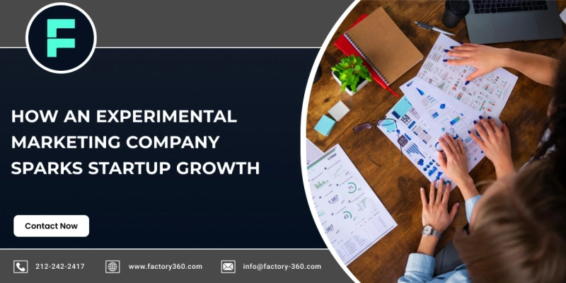 How an Experimental Marketing Company Sparks Startup Growth