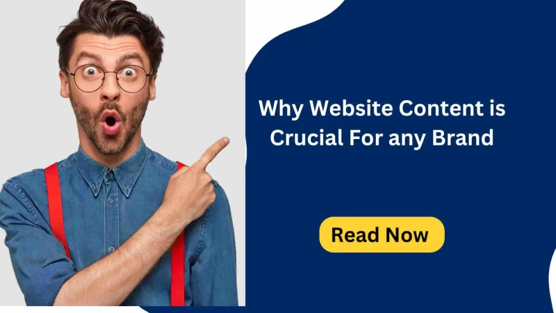 Why Website Content Is Crucial For Any Brand!