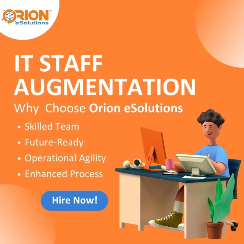 Premier IT Staff Augmentation Company