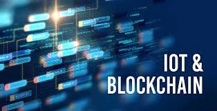 Smart Contracts and the Internet of Things (IoT): A Future Perspective