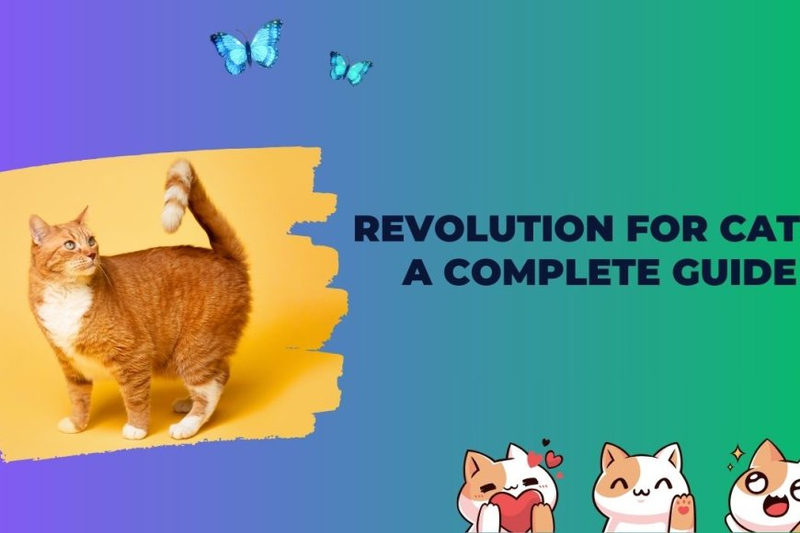 Revolution for Cats: A Complete Guide