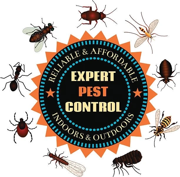 Why it is Important to Check Pest Control at Your Property
