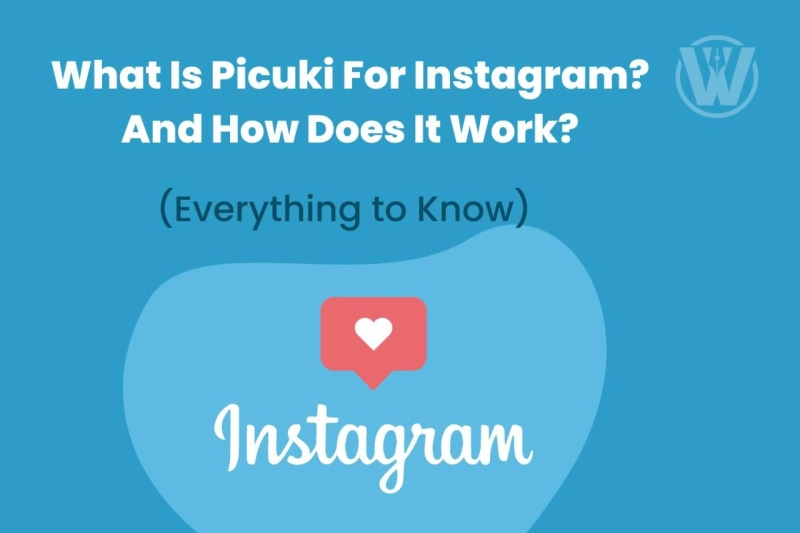 What Is Picuki For Instagram? And How Does It Work?